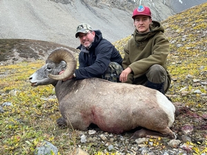 AB Bighorn Sheep Hunts